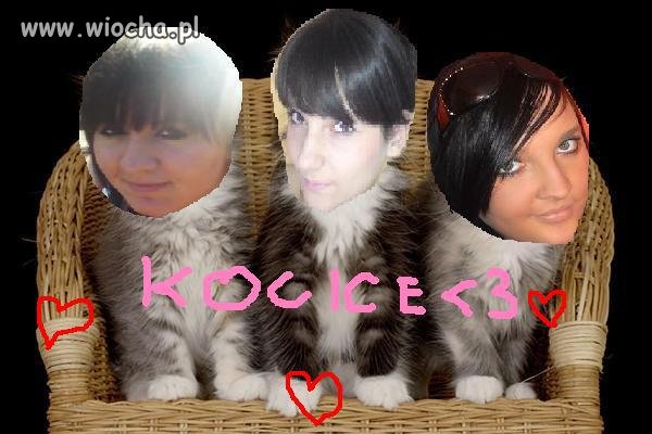 Kocice
