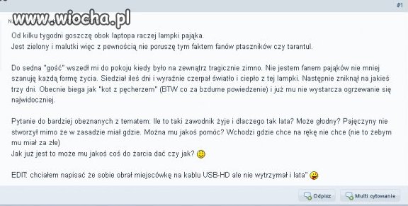 Pająk