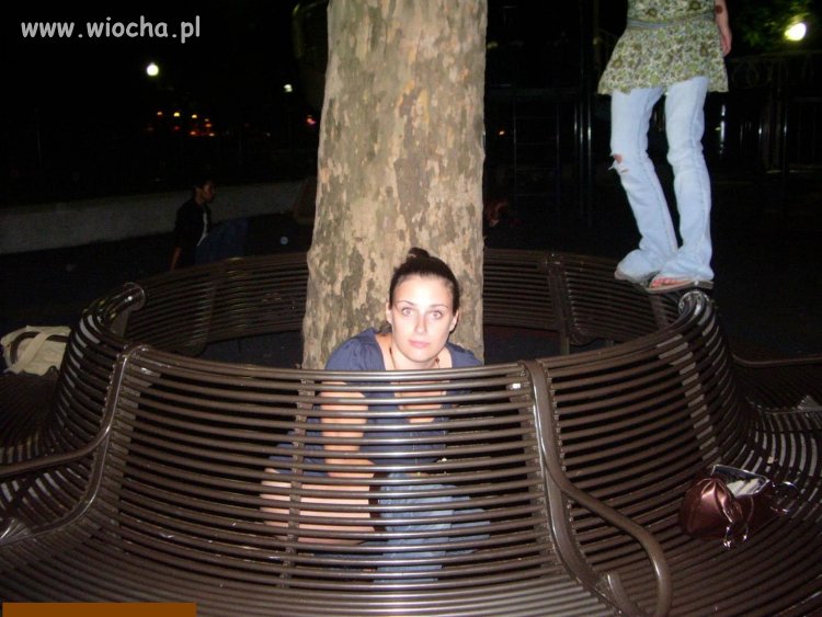 Drzewa pod ścisłą ochronom