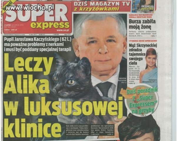 CO TAK NAPRAWDĘ STAŁO SIĘ Z ALIKIEM?