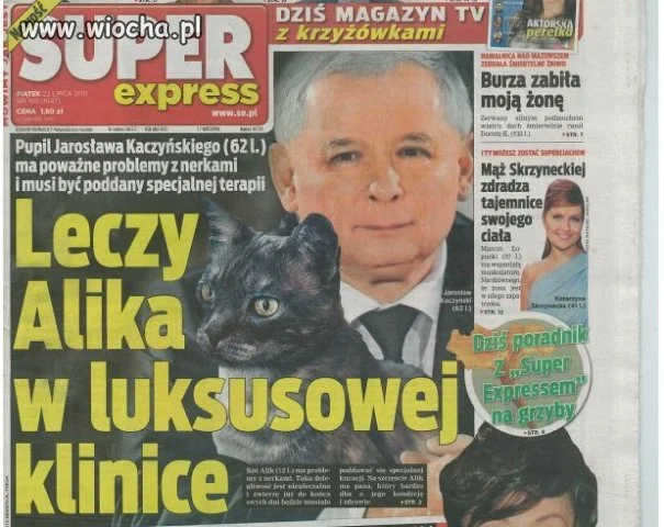 CO TAK NAPRAWDĘ STAŁO SIĘ Z ALIKIEM?