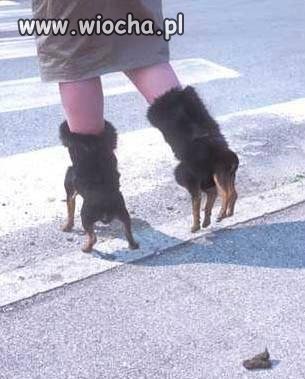 Buty