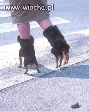 Buty