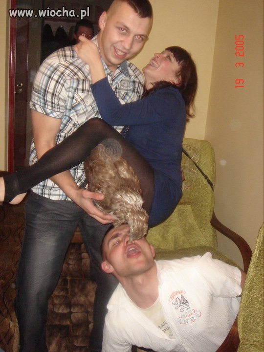 Kura i my?