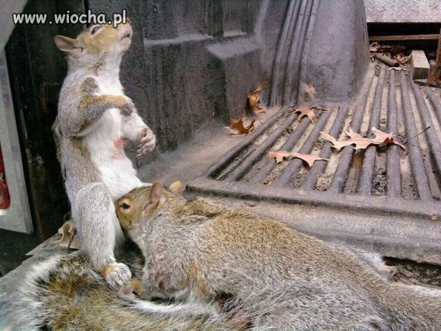 Uczyć trzeba się od najlepszych