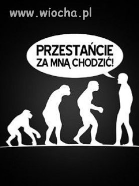 Nowa tablica ewolucji