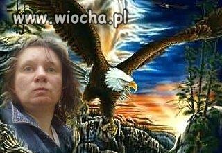Mistrzyni painta 