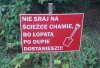 Nie sraj