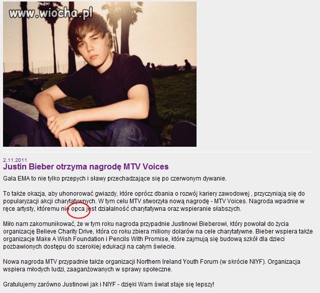 Strona MTV - oPca działalność 