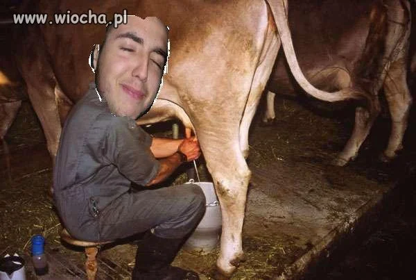 Mistrz painta