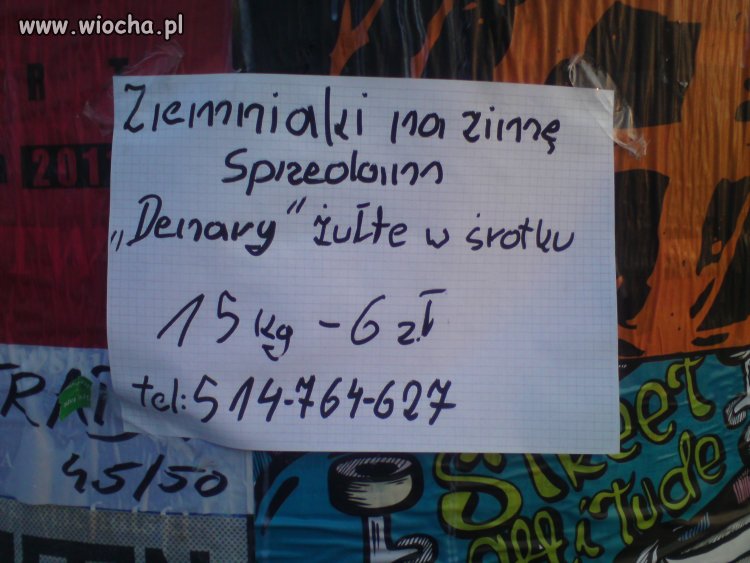 Wiocha..