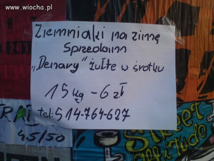 Wiocha..