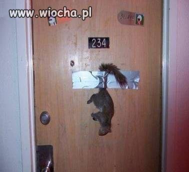 Sadyści czy Idioci ???