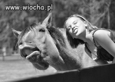 Dzióbki 