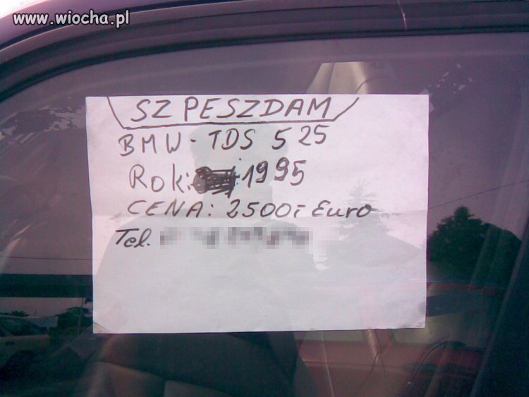 Po co mi mózg