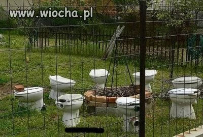Dziś wieczorem ognisko