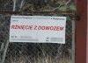Takie fajne usługi