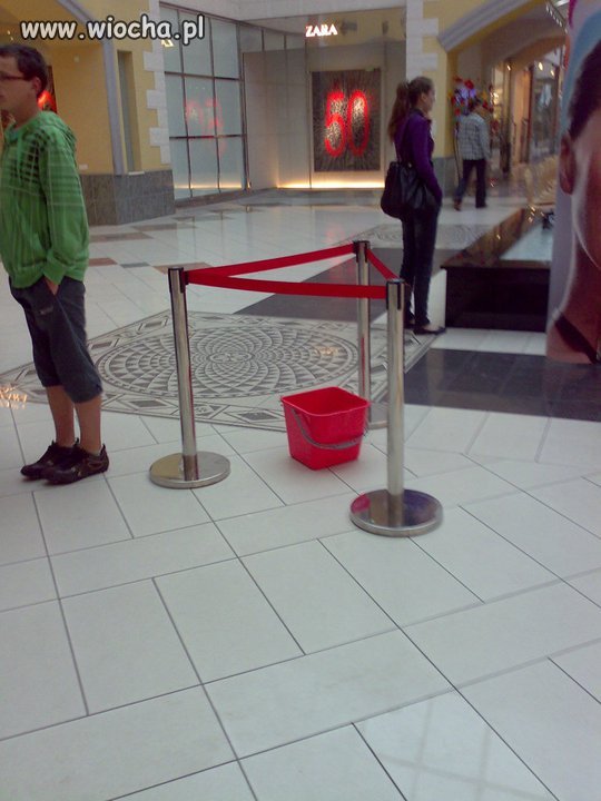 Wtf ?! Wystawa wiaderko ?