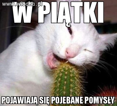 Wiemy coś o tym!
