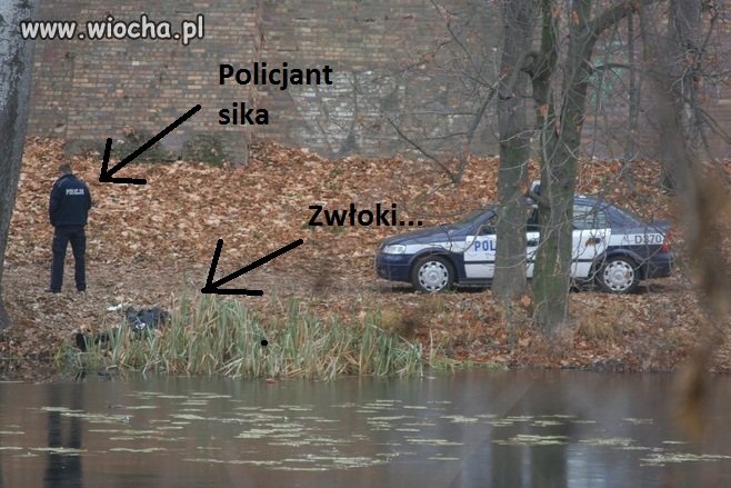 Z rzeki wyłowiono zwłoki...