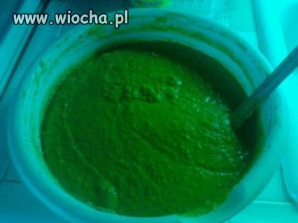 Zupa