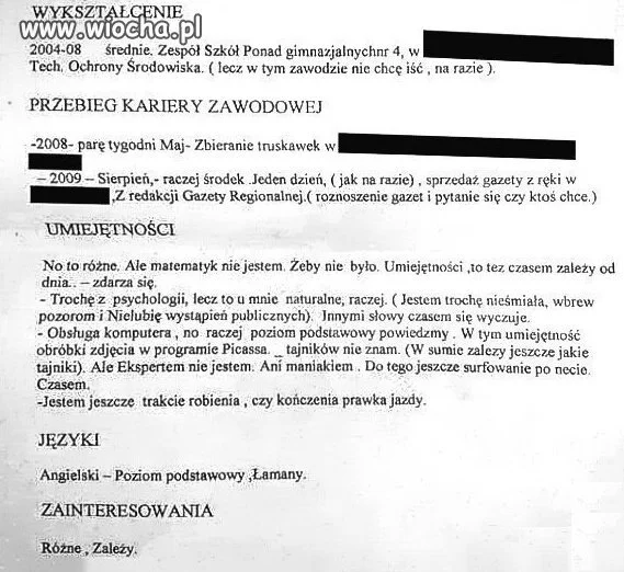 Profesjonalne CV