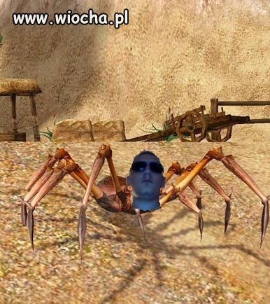 Maniak Metina