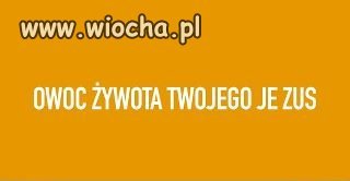 ZUS...