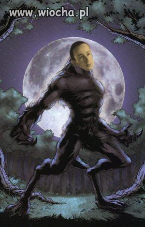Podczas pełni 