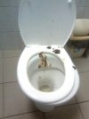 Ktoś ma cela!!