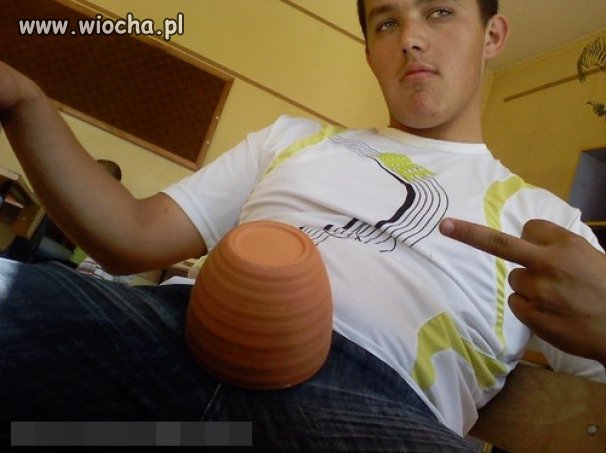 Doniczka