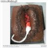 The best cake ever 
