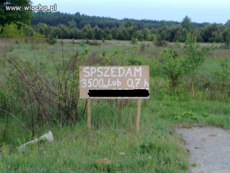 Kolejny dyslektyk?