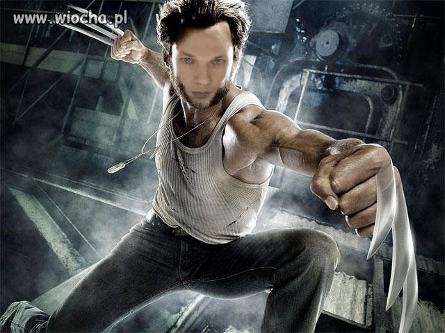 Ja jako wolverine 