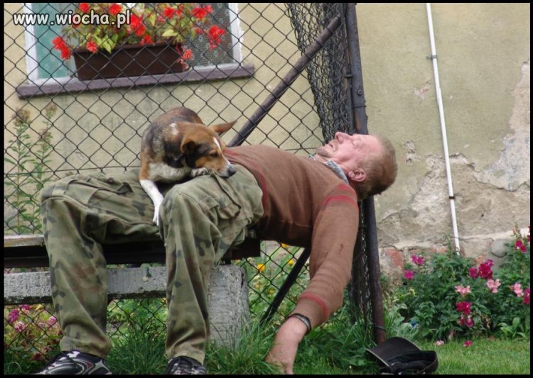 Wiocha dla Pana..