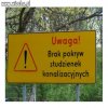 Polska rzeczywistość