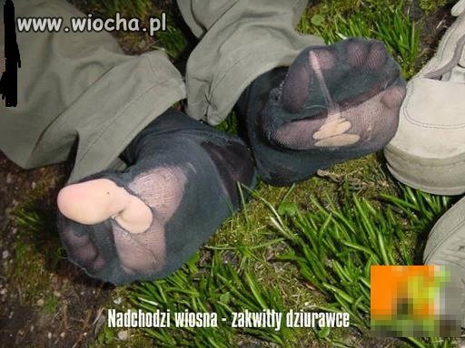 W skarpetkach wiosennych