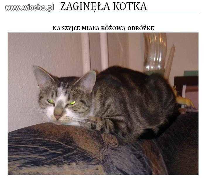 To nie wiocha ale możecie pomóc