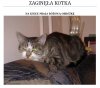 To nie wiocha ale możecie pomóc
