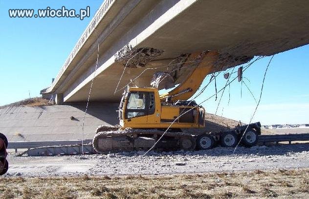 Rysiek! Chyba trochę za wysoko podniosłeś...