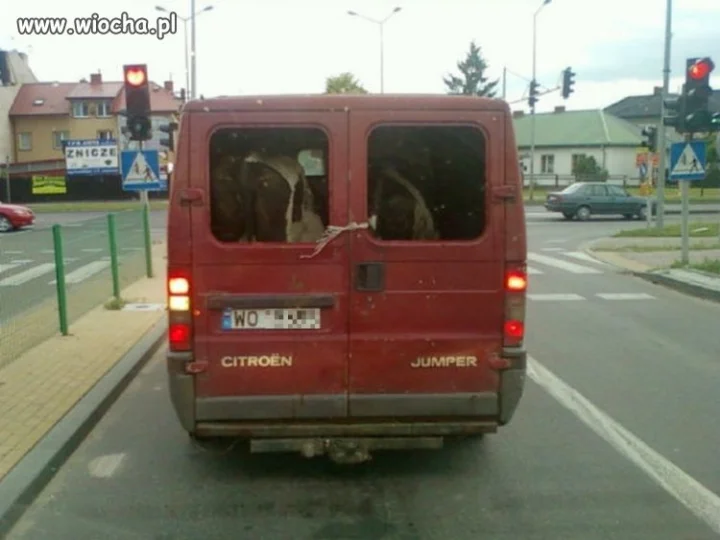 ROLNIK PRZYSZŁOŚCI