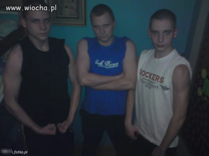 KOKSY Z MG.