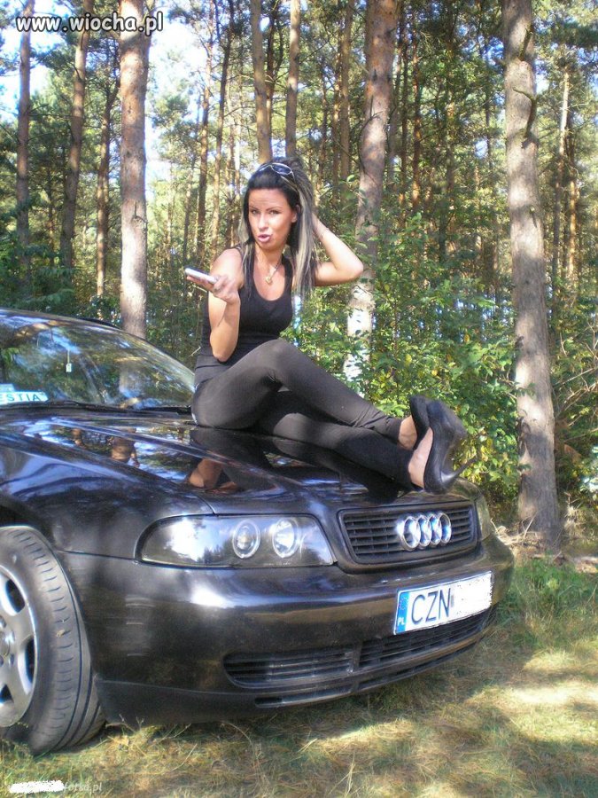 Audi A4 i blachara na masce...