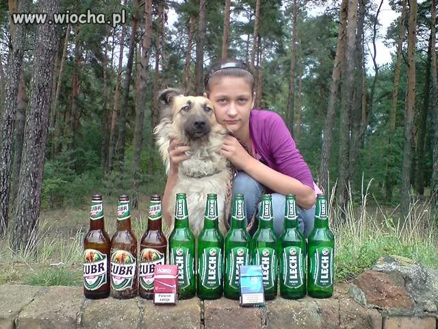 Szpan 12