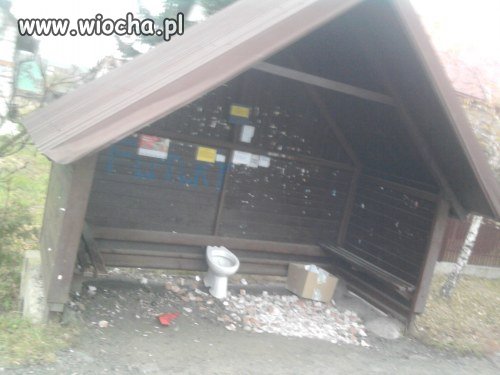 MPK oferuje WC na przystanku