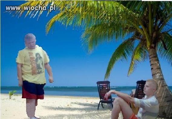 Słońce, plaża, palma, woda. 