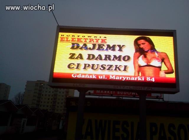 Cipuszki dajemy za darmo.