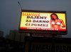 Cipuszki dajemy za darmo.