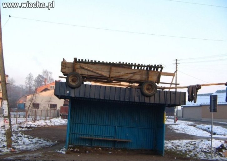 Tylko w Pl