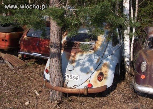 Co było pierwsze?